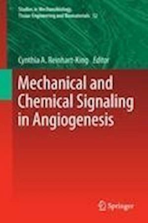 Mechanical and Chemical Signaling in Angiogenesis