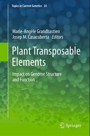 Plant Transposable Elements