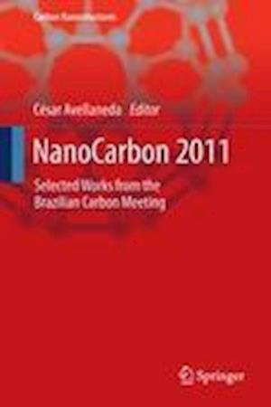 NanoCarbon 2011