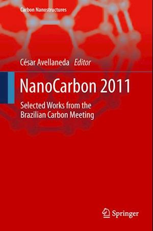 NanoCarbon 2011