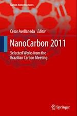 NanoCarbon 2011
