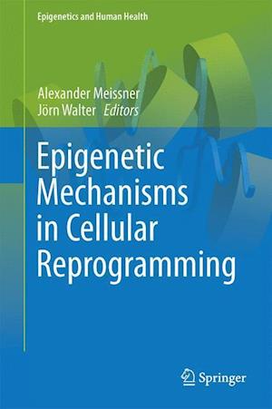 Epigenetic Mechanisms in Cellular Reprogramming