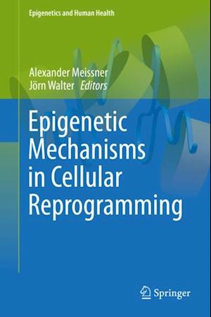 Epigenetic Mechanisms in Cellular Reprogramming