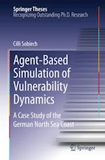 Agent-Based Simulation of Vulnerability Dynamics