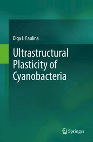 Ultrastructural Plasticity of Cyanobacteria