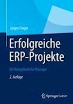 Erfolgreiche Erp-Projekte