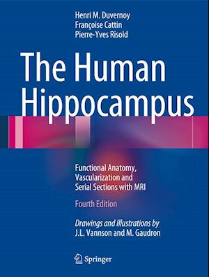 The Human Hippocampus