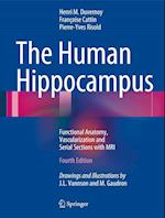 The Human Hippocampus