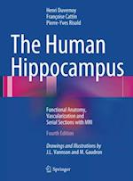 Human Hippocampus