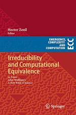 Irreducibility and Computational Equivalence