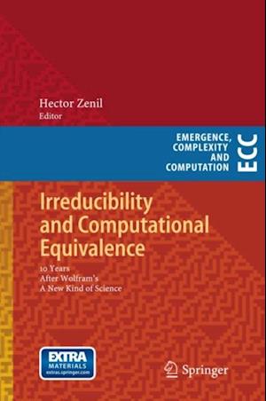 Irreducibility and Computational Equivalence