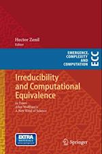 Irreducibility and Computational Equivalence