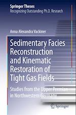 Sedimentary Facies Reconstruction and Kinematic Restoration of Tight Gas Fields