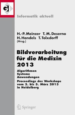 Bildverarbeitung Für Die Medizin 2013