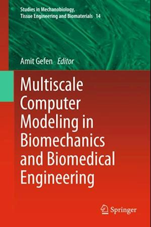 Multiscale Computer Modeling in Biomechanics and Biomedical Engineering