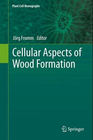 Cellular Aspects of Wood Formation