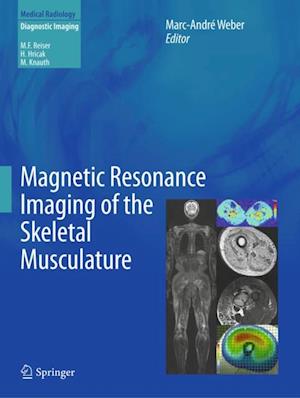 Magnetic Resonance Imaging of the Skeletal Musculature