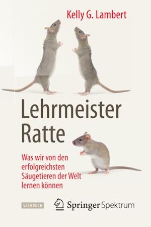 Lehrmeister Ratte