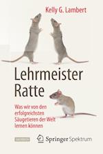 Lehrmeister Ratte