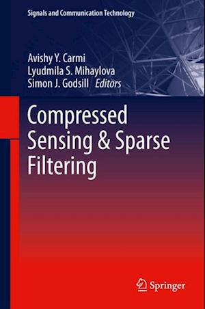 Compressed Sensing & Sparse Filtering