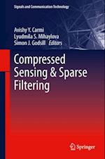 Compressed Sensing & Sparse Filtering