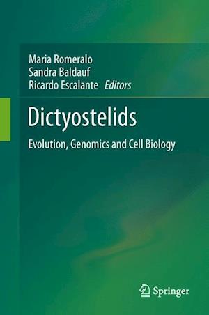 Dictyostelids