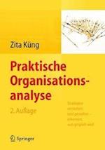 Praktische Organisationsanalyse