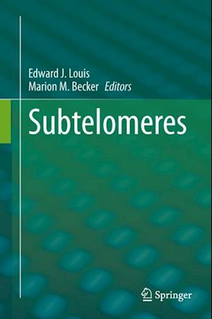 Subtelomeres