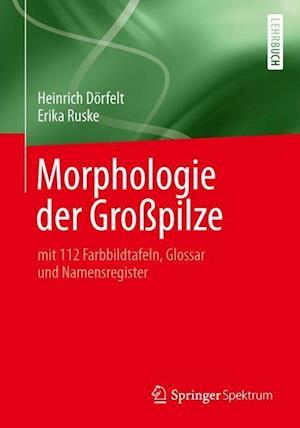 Morphologie der Großpilze