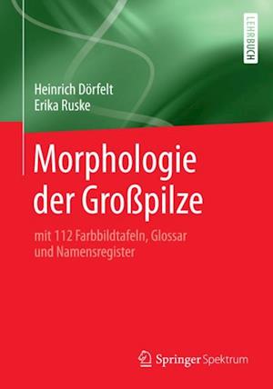 Morphologie der Großpilze