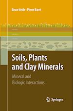 Soils, Plants and Clay Minerals