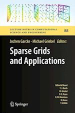 Sparse Grids and Applications