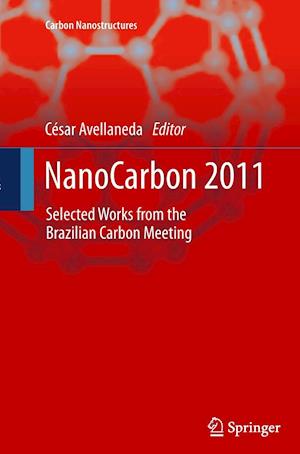 NanoCarbon 2011