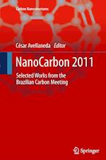 NanoCarbon 2011