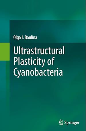 Ultrastructural Plasticity of Cyanobacteria