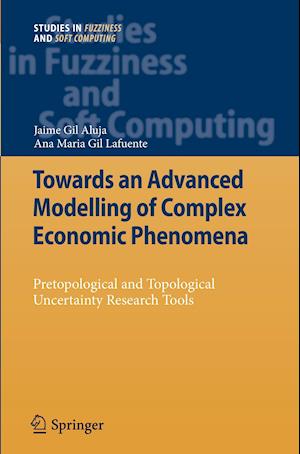 Towards an Advanced Modelling of Complex Economic Phenomena