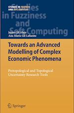 Towards an Advanced Modelling of Complex Economic Phenomena