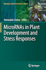MicroRNAs in Plant Development and Stress Responses