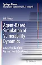 Agent-Based Simulation of Vulnerability Dynamics
