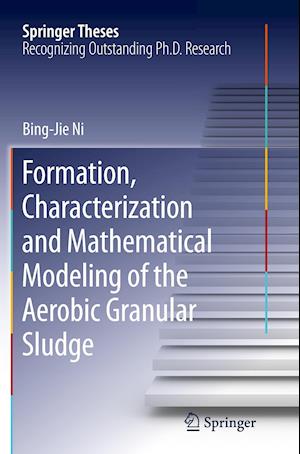 Formation, characterization and mathematical modeling of the aerobic granular sludge