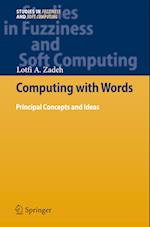 Computing with Words