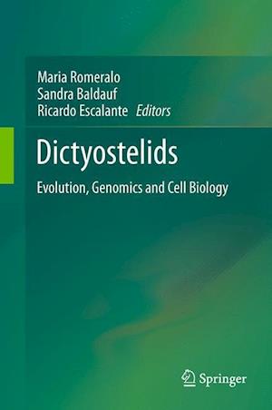 Dictyostelids