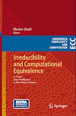 Irreducibility and Computational Equivalence