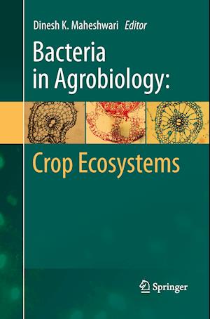 Bacteria in Agrobiology: Crop Ecosystems