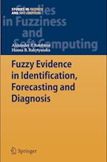 Fuzzy Evidence in Identification, Forecasting and Diagnosis