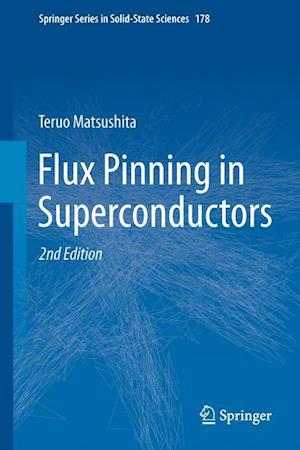 Flux Pinning in Superconductors