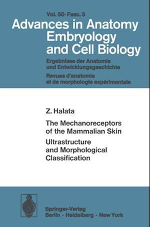 Mechanoreceptors of the Mammalian Skin Ultrastructure and Morphological Classification