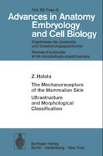 Mechanoreceptors of the Mammalian Skin Ultrastructure and Morphological Classification