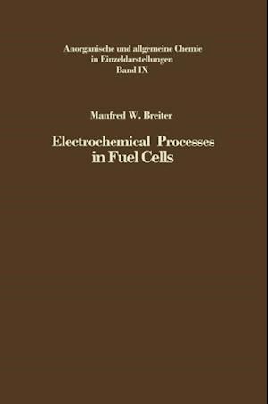 Electrochemical Processes in Fuel Cells