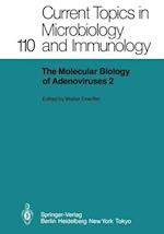 The Molecular Biology of Adenoviruses 2